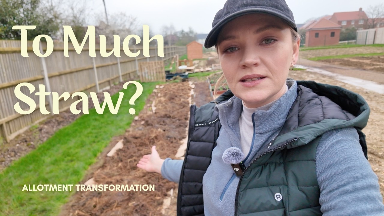 Allotment Plot Transformation | Weeding & Mulching With Horse Manure 🌱