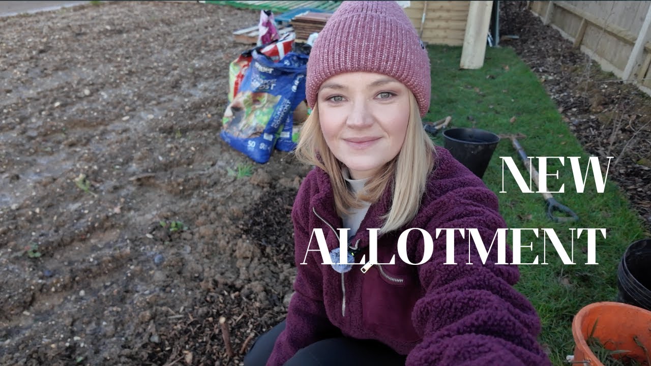 First Proper Allotment Vlog 2026 - Planting Raspberries in Winter