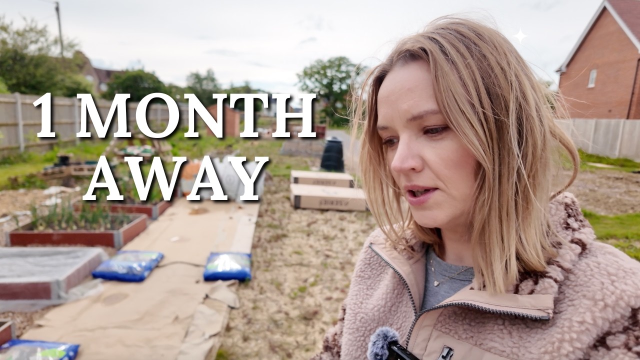 I Left the Allotment for a Month | Windy May Garden Reset