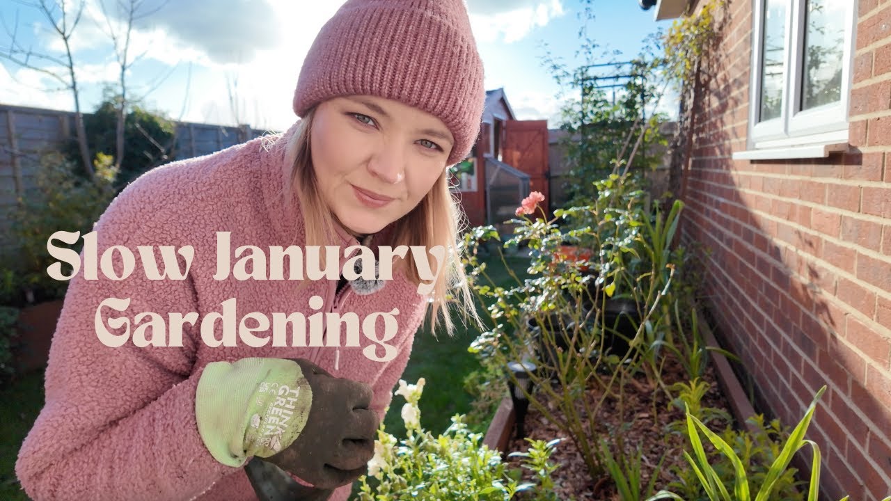 Lifting Perennials in January - Preparing Plants for the Allotment